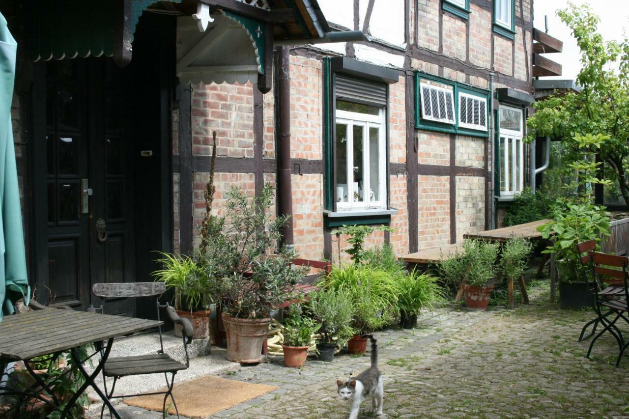 Apartments Café Brennnessel Veltheim Exterior foto